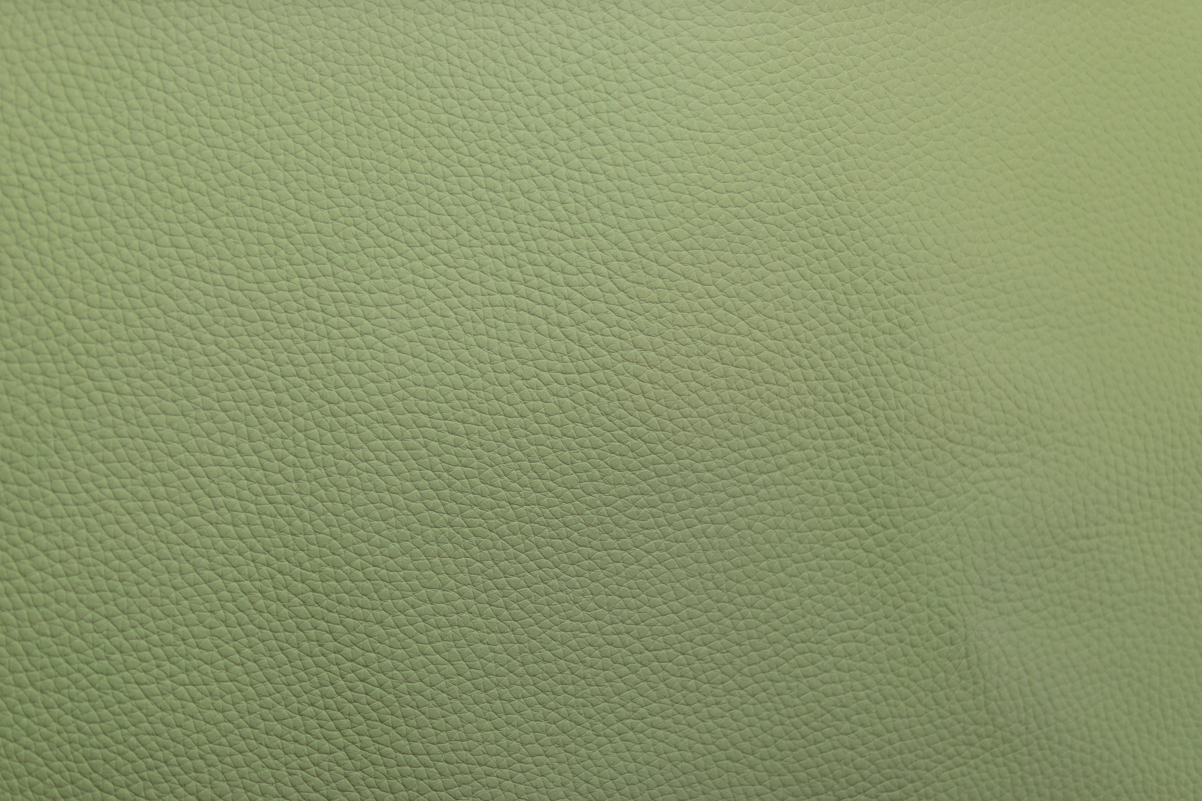 Grænt 'Celadon' Kálfaleður
