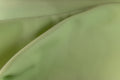 Grænt 'Celadon' Kálfaleður