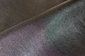 Black Goatskin