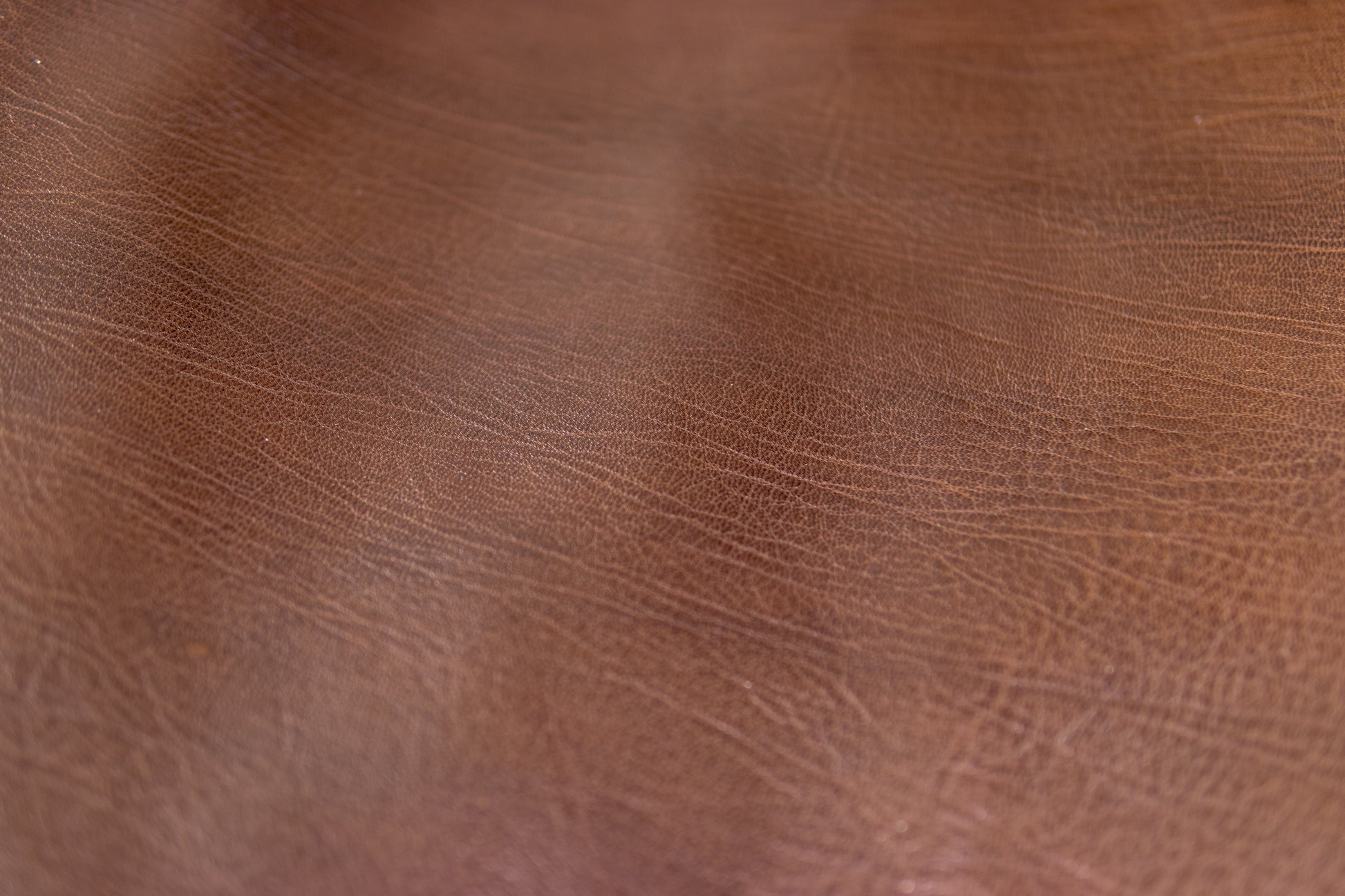 Brown Goatskin