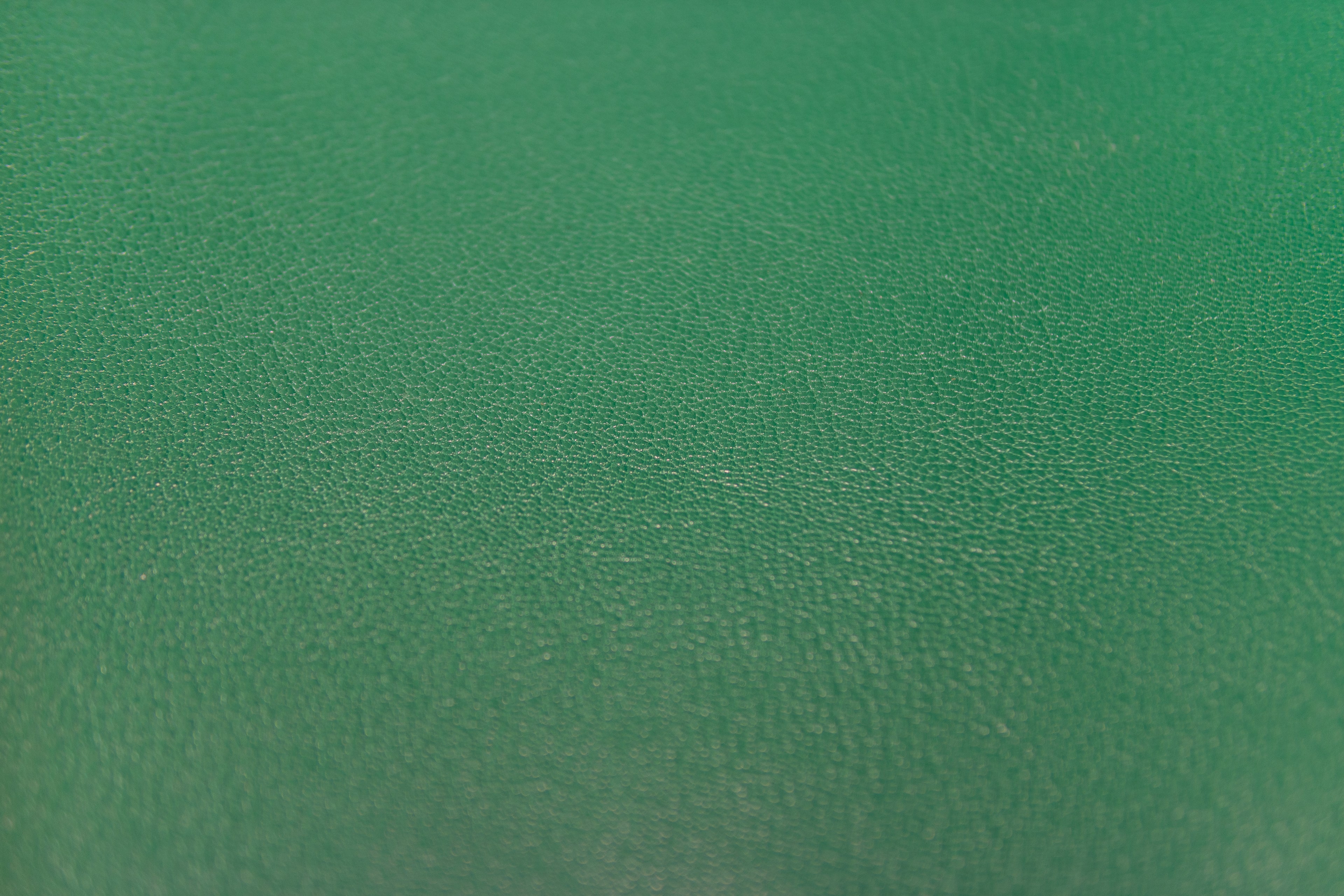 Emerald Geitaleður