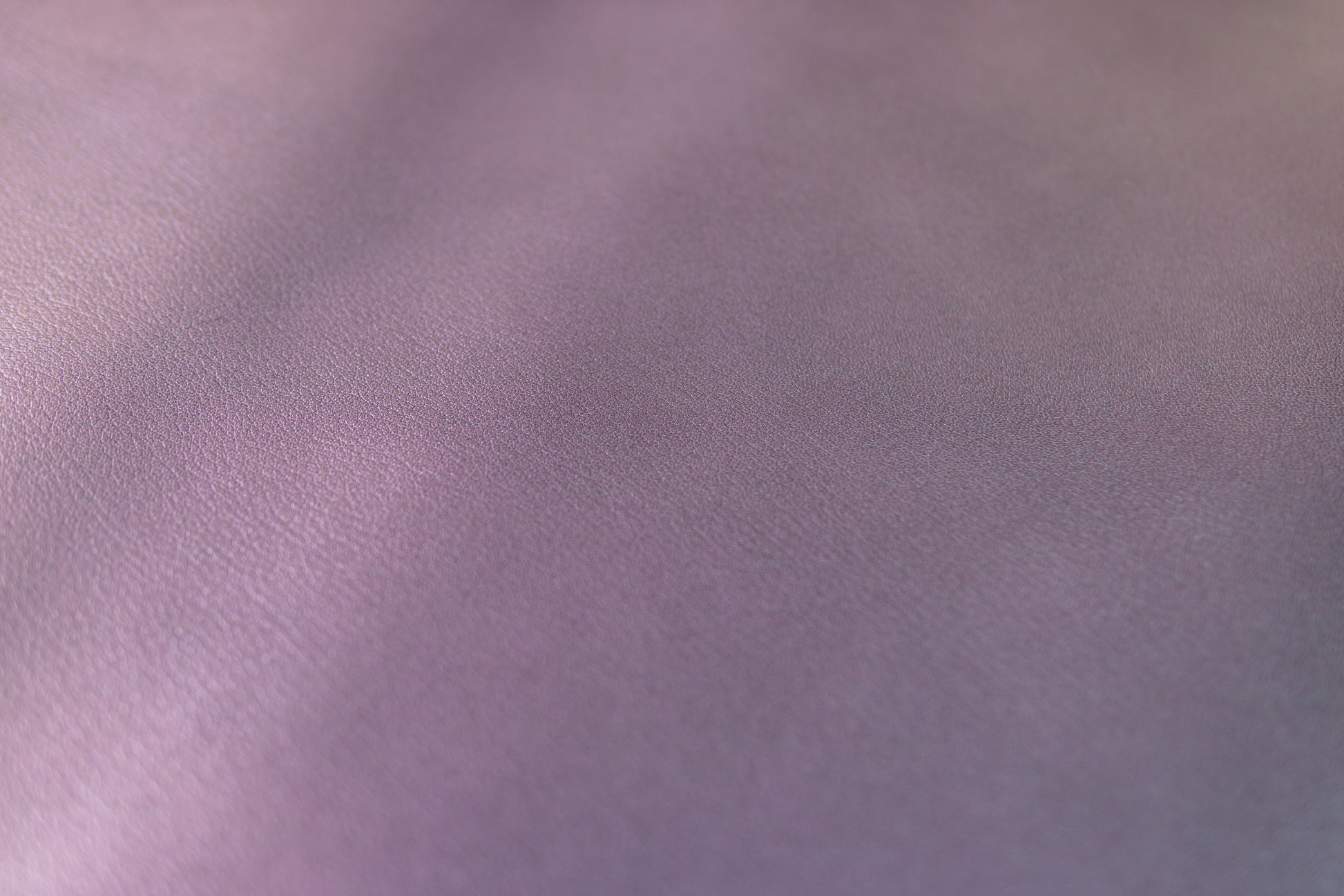 Purple Goatskin