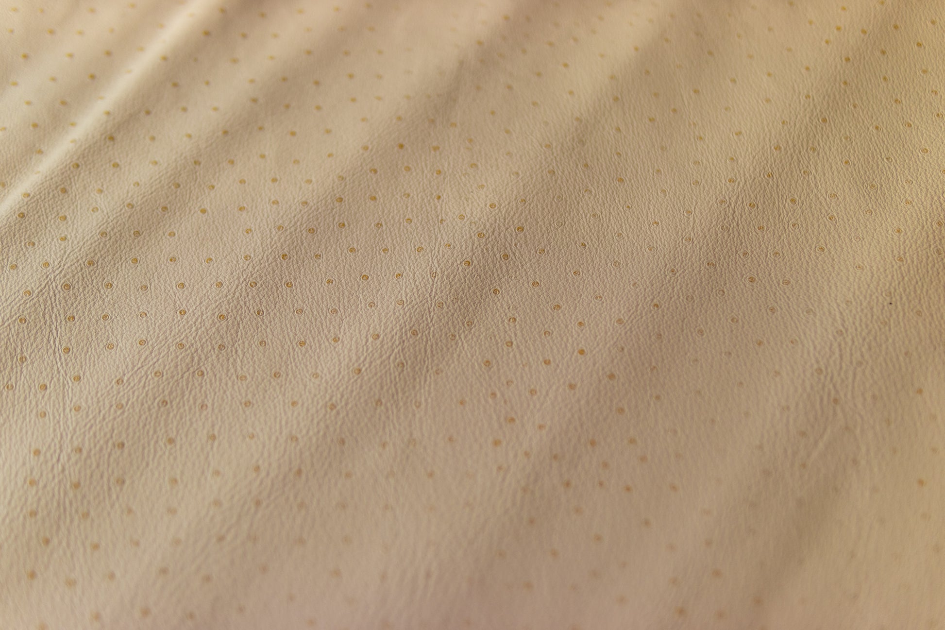 Beige Lambskin