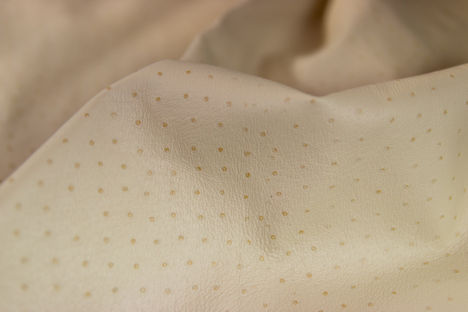 Beige Lambskin